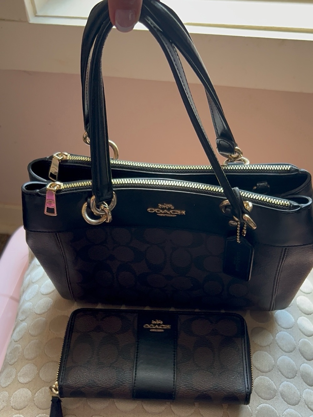 Coach Signature Brooke Carryall Canvas Crossgrain Leather Bag & Matching Wallet